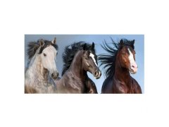 Bavlněná osuška divocí koně 70x140 cm 1