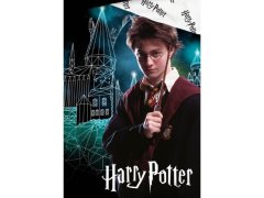Bavlněné povlečení - Harry Potter 3