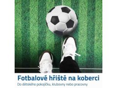 Fotbalový koberec 120x80 cm 3