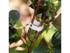 Klipy/pásky pro uchycení rostlin 50 ks 4