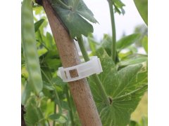 Klipy/pásky pro uchycení rostlin 50 ks 7