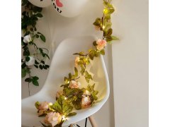 LED světelný řetěz 2 m - růže 5