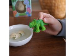 Magické rostoucí vajíčko - dinosaurus 4