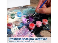 Malířská sada - plátno 50x40 cm, sada barev a štětce 2