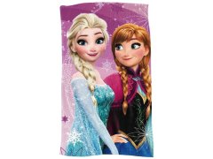 Malý ručník - Frozen/Ledové království 2