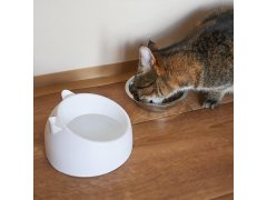 Miska pro kočky 2v1 10