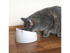 Miska pro kočky 2v1 2