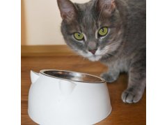 Miska pro kočky 2v1 7