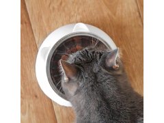 Miska pro kočky 2v1 8