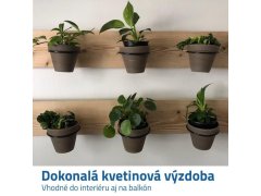 Nástěnný držák na květináč 13 cm 5