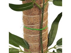 Opora pro popínavé rostliny 1