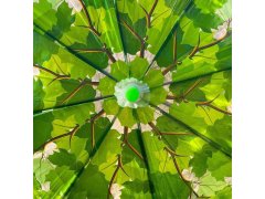 Průhledný deštník - zelené listy 4
