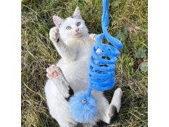 Pružinová hračka pro kočky s míčkem