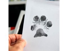 Sada na otisk tlapky - Sada na otisk tlapky s&nbsp;rámečkem na fotky 12