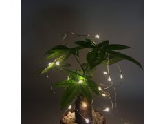 Světelný řetěz s&nbsp;dálkovým ovladačem, barevné/teplé/studené světlo, 5 m 5