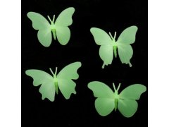 Svítící motýlci 5