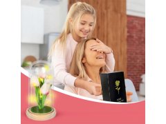 Svítící tulipány ve skleněné kopuli 2