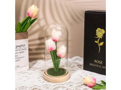 Svítící tulipány ve skleněné kopuli 3