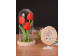 Svítící tulipány ve skleněné kopuli 6