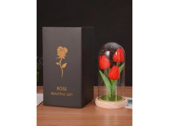 Svítící tulipány ve skleněné kopuli 7