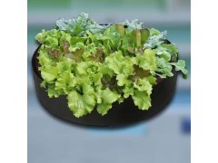 Textilní záhon 140 l, 80 x 30 cm 3