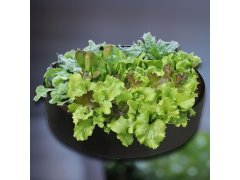 Textilní záhon 50 l, 60 x 20 cm 1