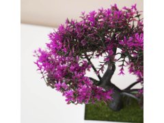 Umělá bonsai - fialová 7