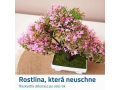 Umělá bonsai - růžová 2