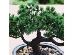 Umělá bonsai v květináči 2