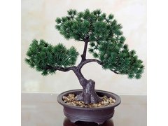 Umělá bonsai v květináči 6