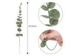 Umělý eukalyptus 5 ks 5