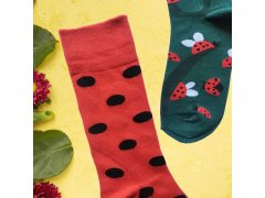 Veselé ponožky - beruška 7