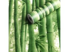 Vinylová tapeta se vzorem - bambus 4