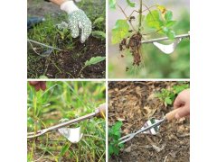 Vypichovač plevele s&nbsp;kolébkou a&nbsp;dřevěnou rukojetí 4