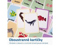 Výukové kartičky - mořská zvířátka 2