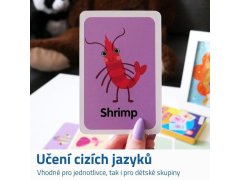 Výukové kartičky - mořská zvířátka 3