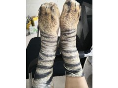 Zvířecí ponožky 7