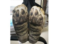 Zvířecí ponožky 8