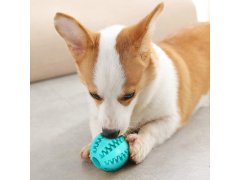 Žvýkací míček pro psy na čištění zubů 1