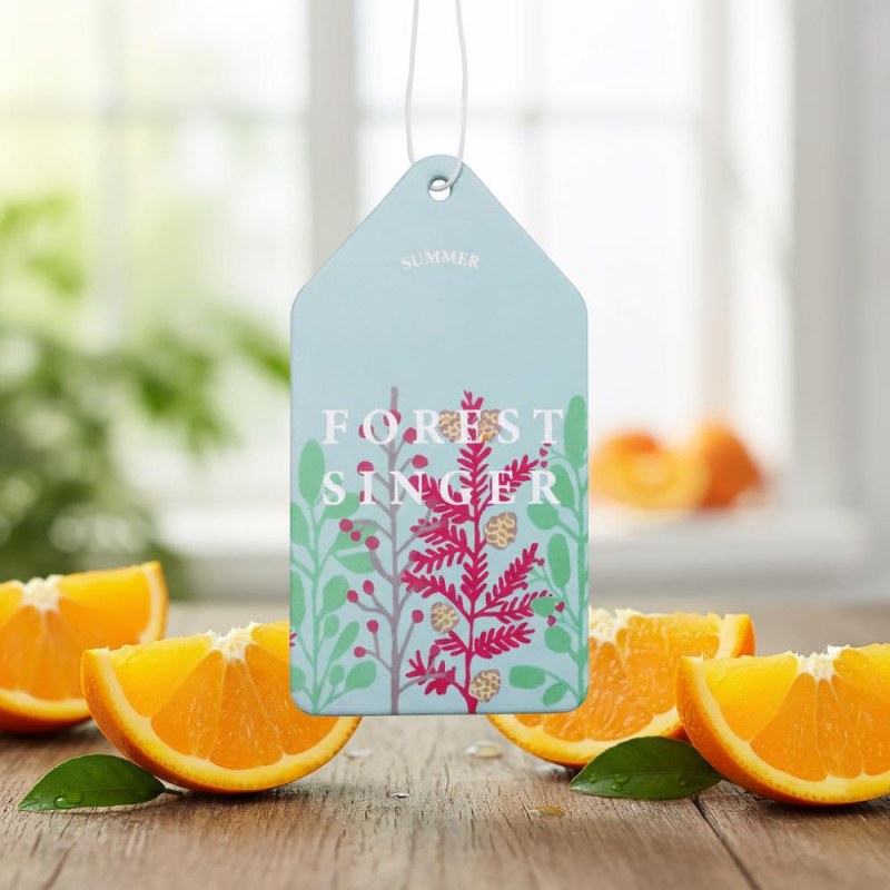 Aroma vůně do auta - pomeranč - Dárky.pro