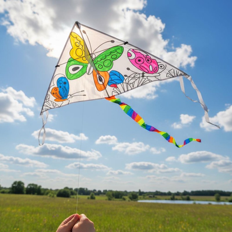 Létající drak k&nbsp;vybarvení - motýlci - Dárky.pro