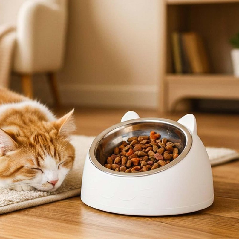 Miska pro kočky 2v1 - Dárky.pro