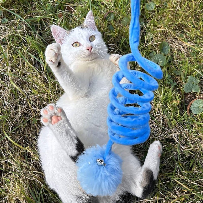 Pružinová hračka pro kočky s míčkem