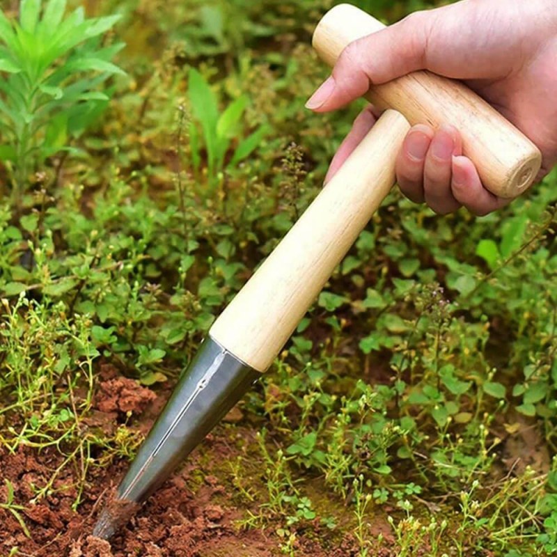 Sázecí kolík - Dárky.pro