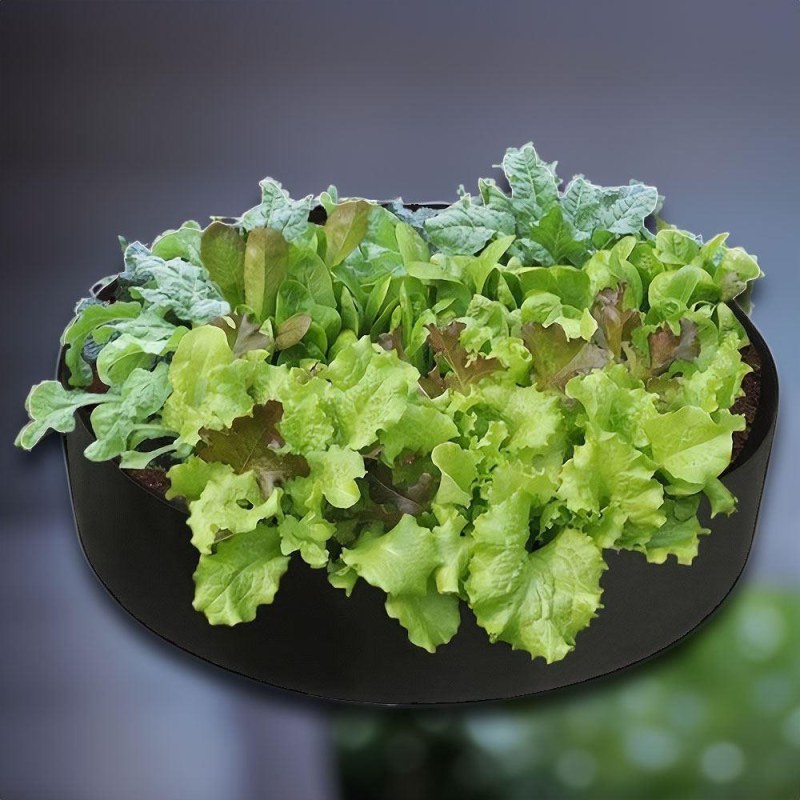 Textilní záhon 50 l, 60 x 20 cm - Dárky.pro