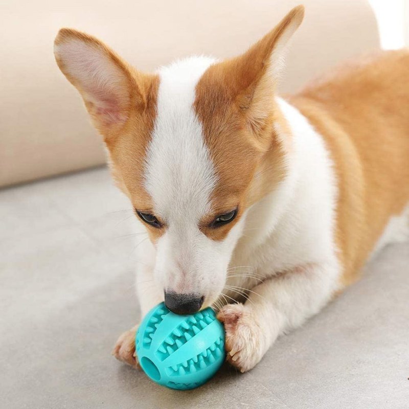 Žvýkací míček pro psy na čištění zubů - Dárky.pro
